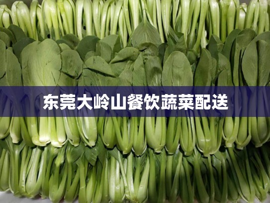 东莞大岭山餐饮蔬菜配送