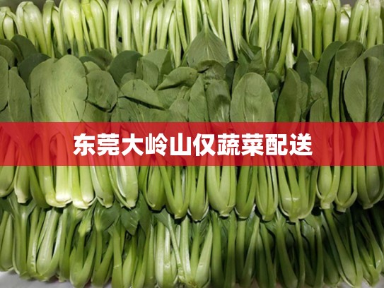 东莞大岭山仅蔬菜配送