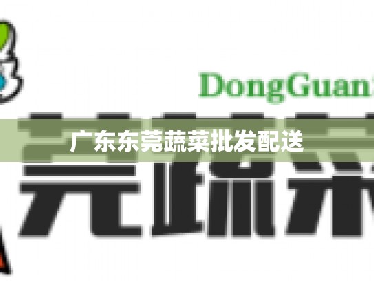 广东东莞蔬菜批发配送