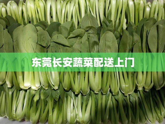 东莞长安蔬菜配送上门