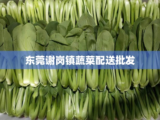 东莞谢岗镇蔬菜配送批发