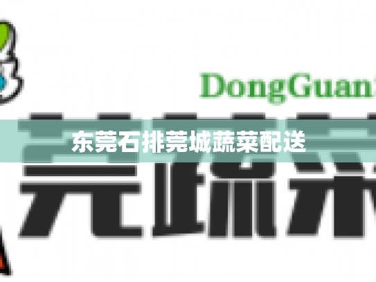 东莞石排莞城蔬菜配送
