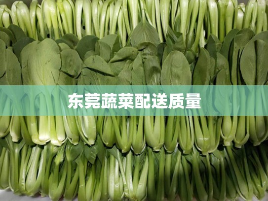 东莞蔬菜配送质量