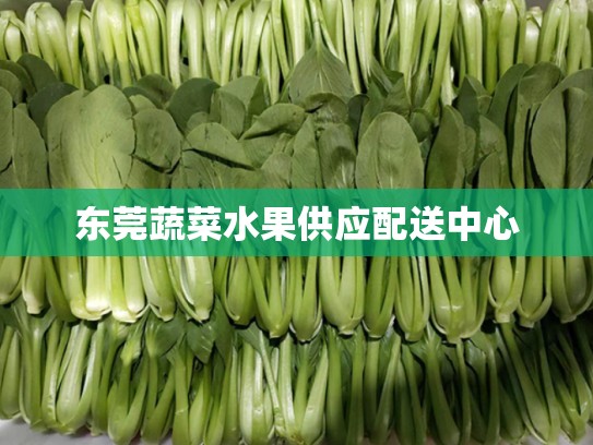 东莞蔬菜水果供应配送中心