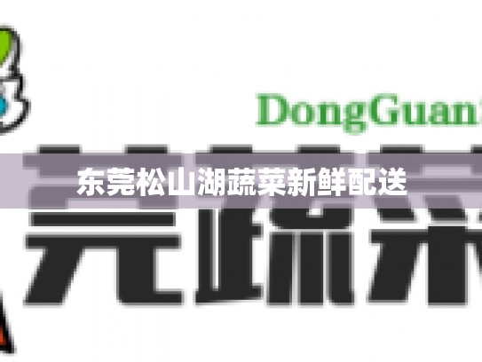 东莞松山湖蔬菜新鲜配送