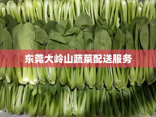 东莞大岭山蔬菜配送服务