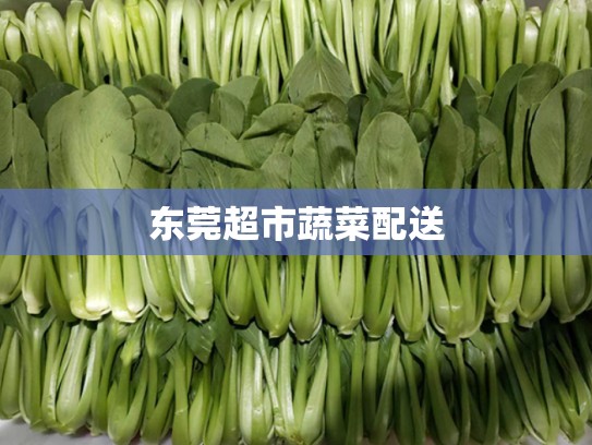 东莞超市蔬菜配送