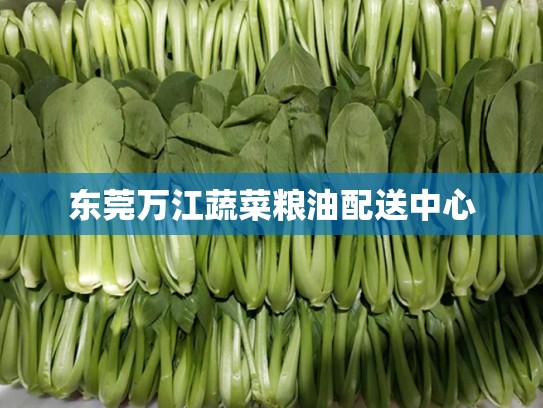 东莞万江蔬菜粮油配送中心