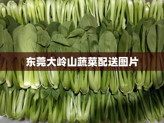 东莞大岭山蔬菜配送图片