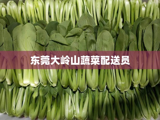 东莞大岭山蔬菜配送员