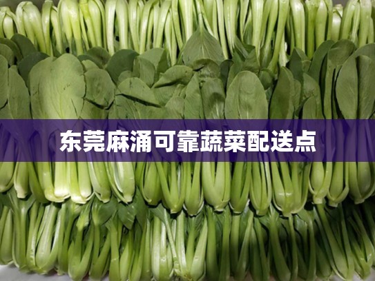 东莞麻涌可靠蔬菜配送点