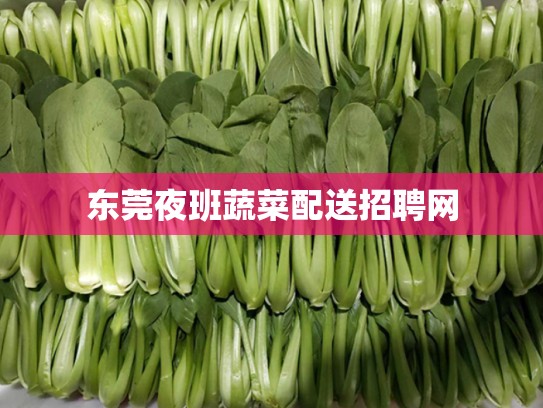 东莞夜班蔬菜配送招聘网