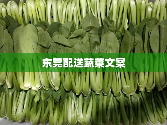 东莞配送蔬菜文案