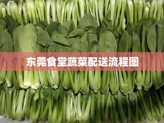 东莞食堂蔬菜配送流程图