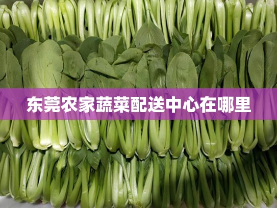 东莞农家蔬菜配送中心在哪里