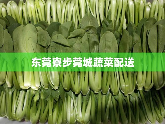 东莞寮步莞城蔬菜配送