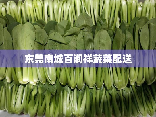 东莞南城百润祥蔬菜配送