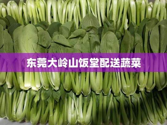 东莞大岭山饭堂配送蔬菜