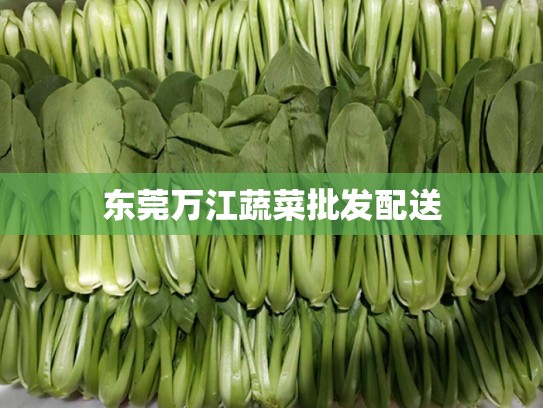 东莞万江蔬菜批发配送