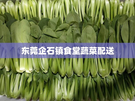 东莞企石镇食堂蔬菜配送