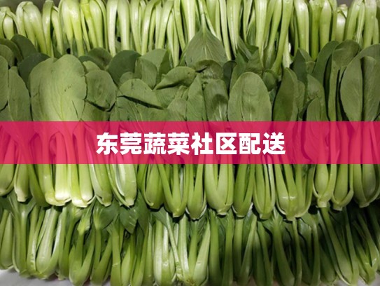 东莞蔬菜社区配送