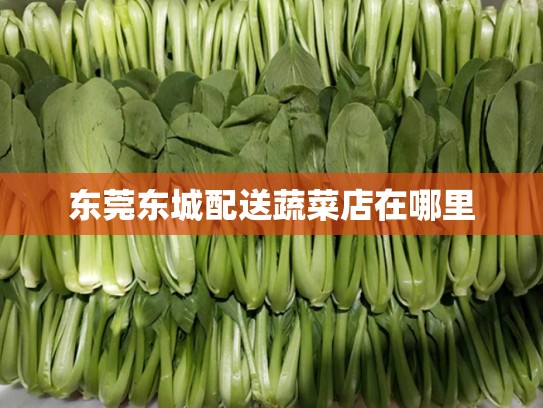 东莞东城配送蔬菜店在哪里