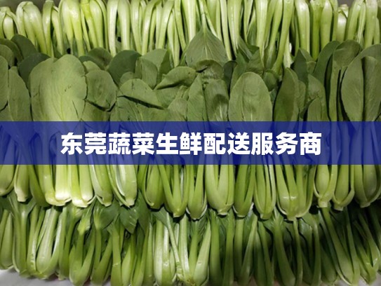 东莞蔬菜生鲜配送服务商