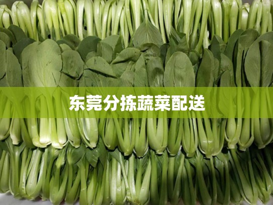 东莞分拣蔬菜配送