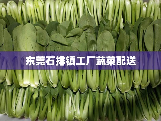东莞石排镇工厂蔬菜配送