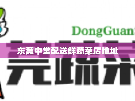 东莞中堂配送鲜蔬菜店地址