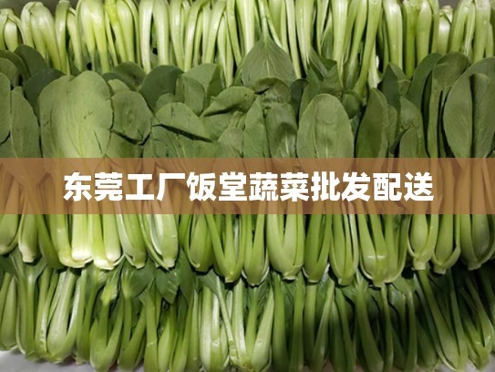 东莞工厂饭堂蔬菜批发配送