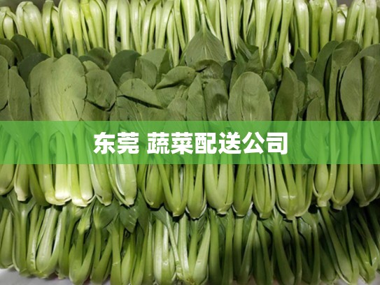 东莞 蔬菜配送公司
