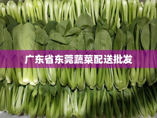 广东省东莞蔬菜配送批发