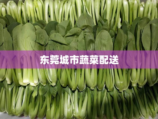 东莞城市蔬菜配送