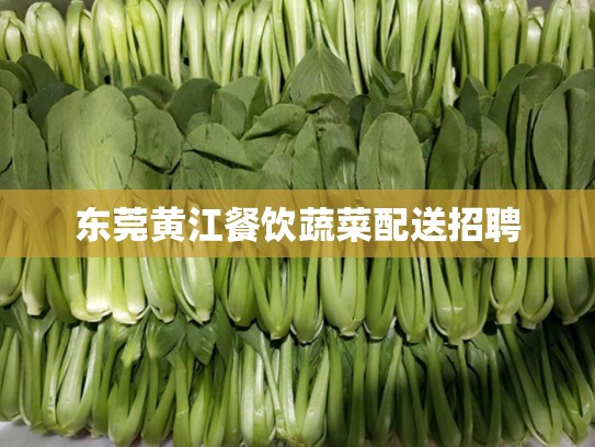 东莞黄江餐饮蔬菜配送招聘