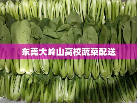 东莞大岭山高校蔬菜配送