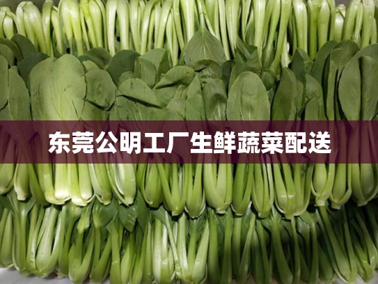 东莞公明工厂生鲜蔬菜配送