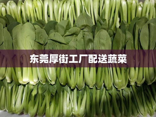 东莞厚街工厂配送蔬菜