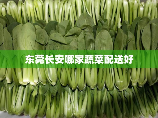 东莞长安哪家蔬菜配送好