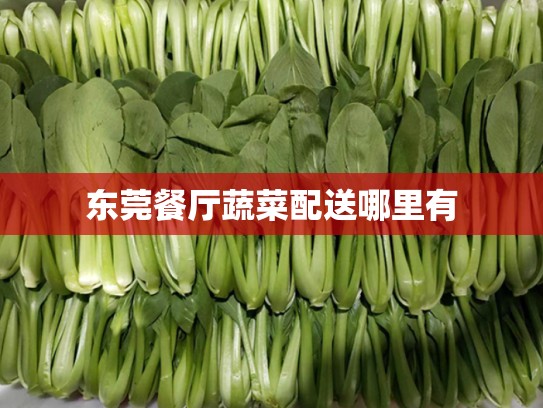 东莞餐厅蔬菜配送哪里有