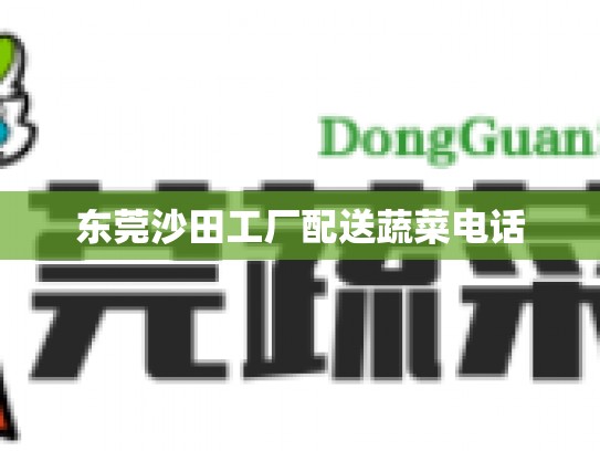 东莞沙田工厂配送蔬菜电话