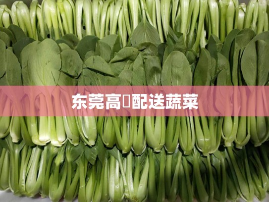 东莞高埗配送蔬菜