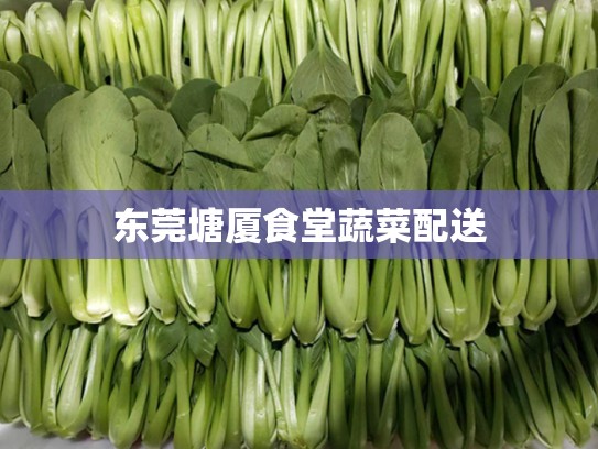 东莞塘厦食堂蔬菜配送