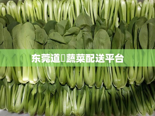 东莞道滘蔬菜配送平台