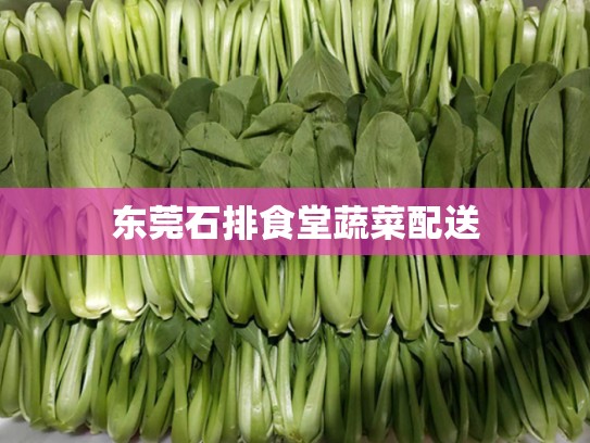 东莞石排食堂蔬菜配送