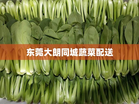 东莞大朗同城蔬菜配送