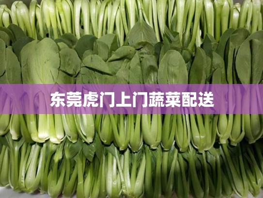 东莞虎门上门蔬菜配送