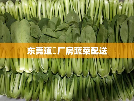 东莞道滘厂房蔬菜配送