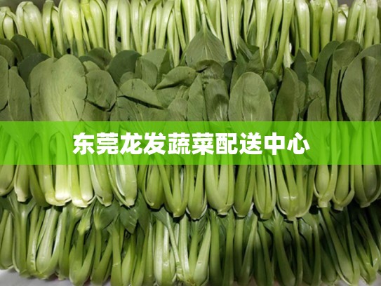 东莞龙发蔬菜配送中心