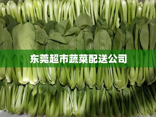 东莞超市蔬菜配送公司